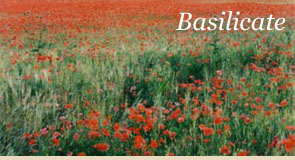 Basilicate