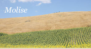 Molise