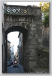 todi