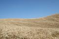 foto_marche_8635