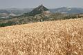 marches_italie_8575