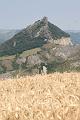regione_marche_8567