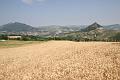 regione_marche_8569