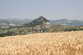 regione_marche_8574