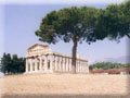 paestum, pompei, ercolano