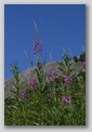 abruzzo