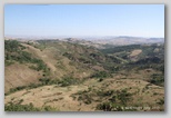 Tricarico