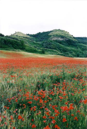 basilicata