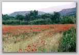 basilicata villaggi