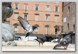 place de neptune de Bologne