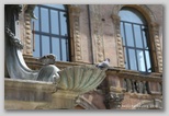 place de neptune de Bologne