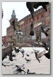 place de neptune de Bologne