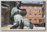 place de neptune de Bologne