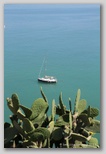 vieste