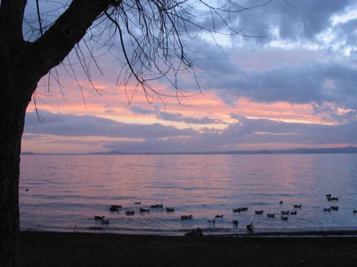 lac de bolsena