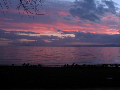 lac de bolsena