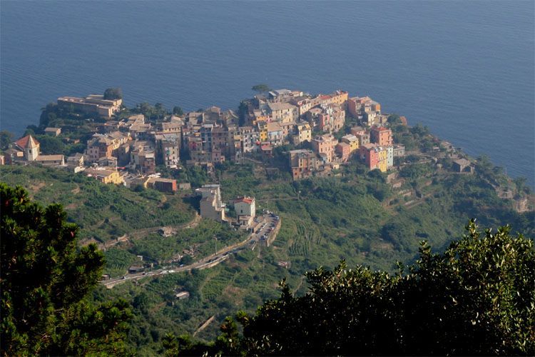 cinque_terre_8235.jpg