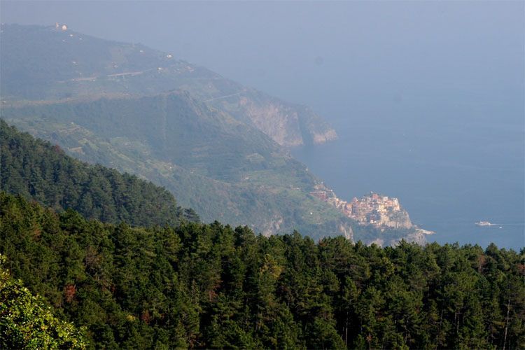 cinque_terre_8236.jpg