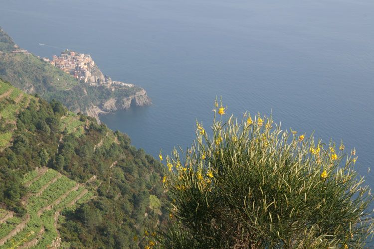 cinque_terre_italie_8240.jpg