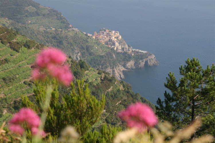 cinque_terre_italie_8243.jpg