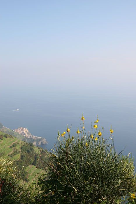 cinque_terre_italie_8249.jpg