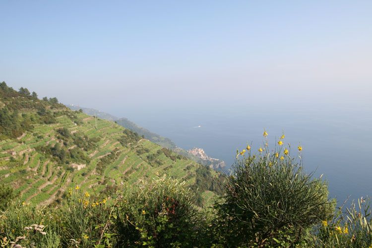 cinque_terre_italie_8250.jpg