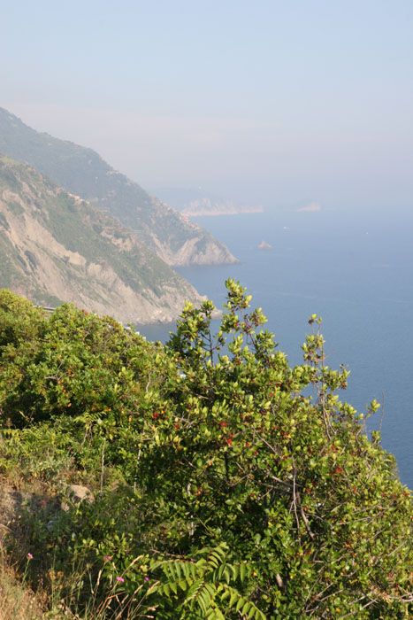 cinque_terre_italie_8253.jpg