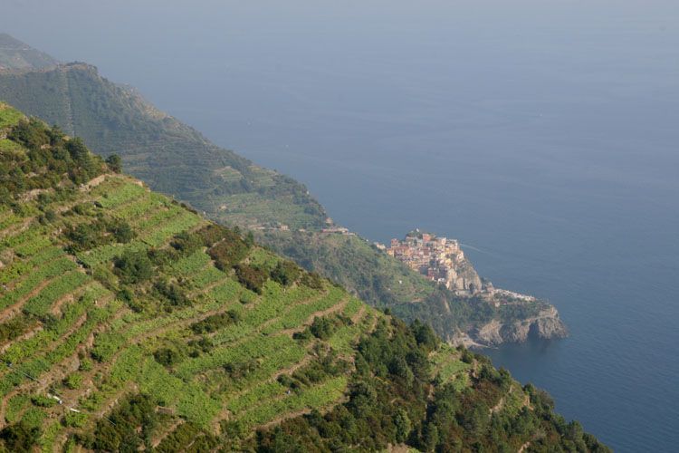 cinque terre