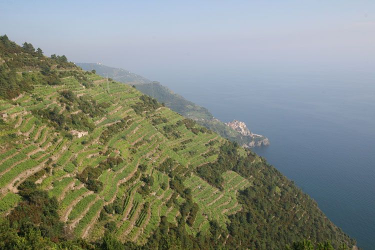 cinque_terre_riomaggiore_8239.jpg