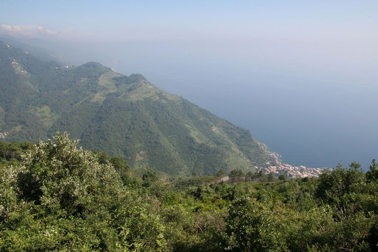 vernazza_cinque_terre_8199.jpg