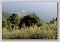 cinque terre