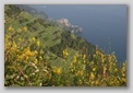 cinque terre