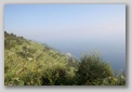 cinque terre