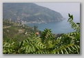 Levanto