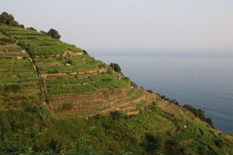 liguria_cinque_terre_8045.jpg