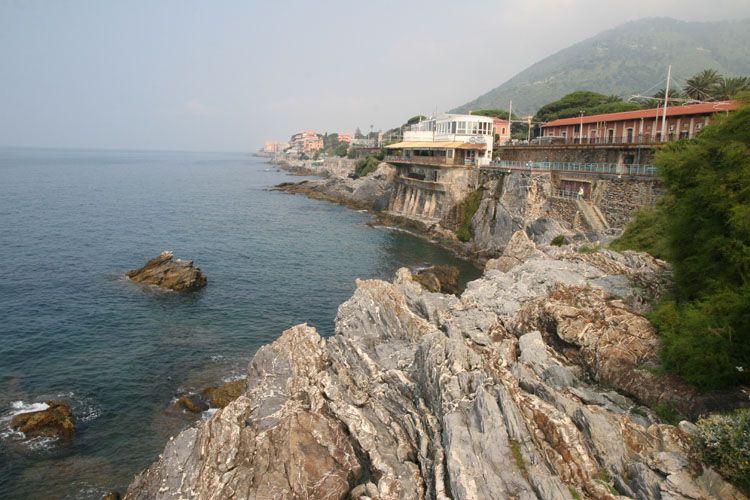 nervi_8141.jpg