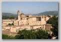 urbino