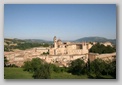 urbino