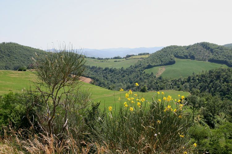 natura_marche_regione_8636.jpg