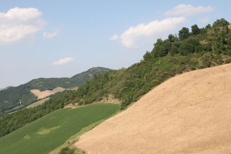 natura_marche_regione_8638.jpg