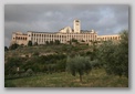 basilico san francesco assise