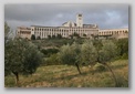 basilica san francesco