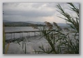 foto lago trasimene