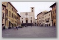 todi