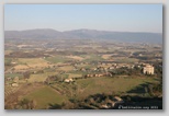 todi