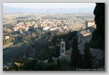 todi