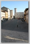 todi