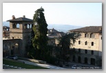 todi