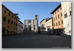 todi