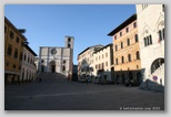 todi